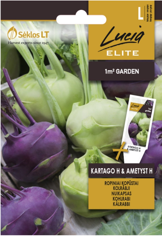 Kalarepa Kartago H & Ametyst H plenne i smaczne odmiany nasiona 0,4 g Lucia Elite sklep rajogrodnika